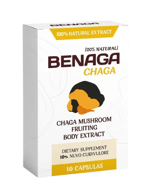 Benaga Chaga
